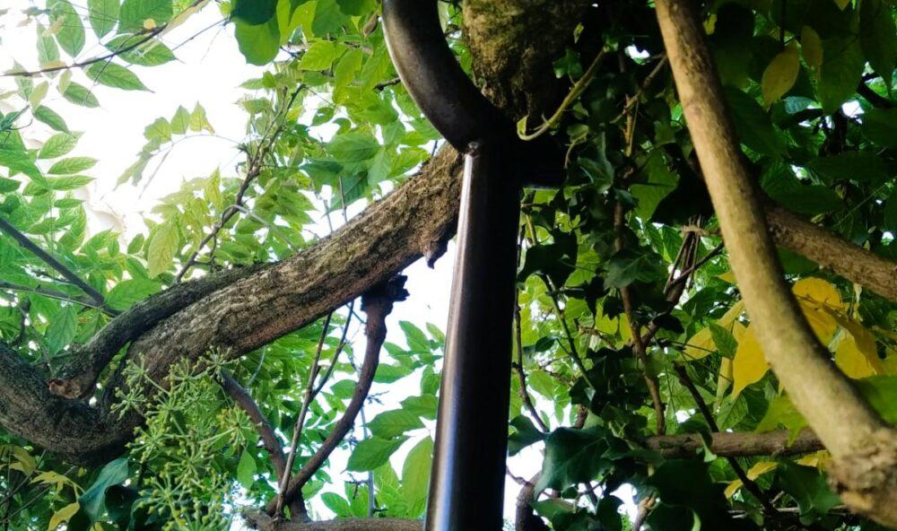 Support glycine sur mesure